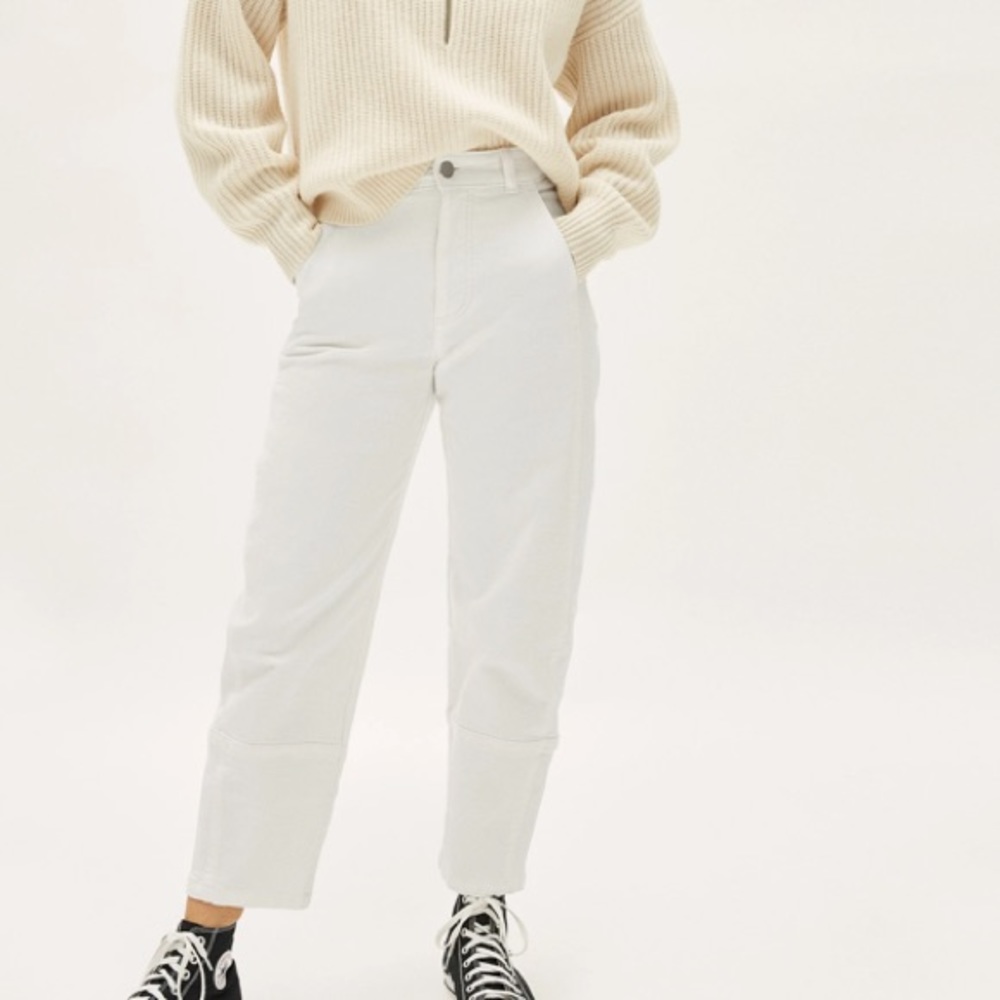 Everlane Utility Barrel Pants